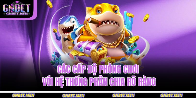Các cấp độ phòng chơi với hệ thống phân chia rõ ràng